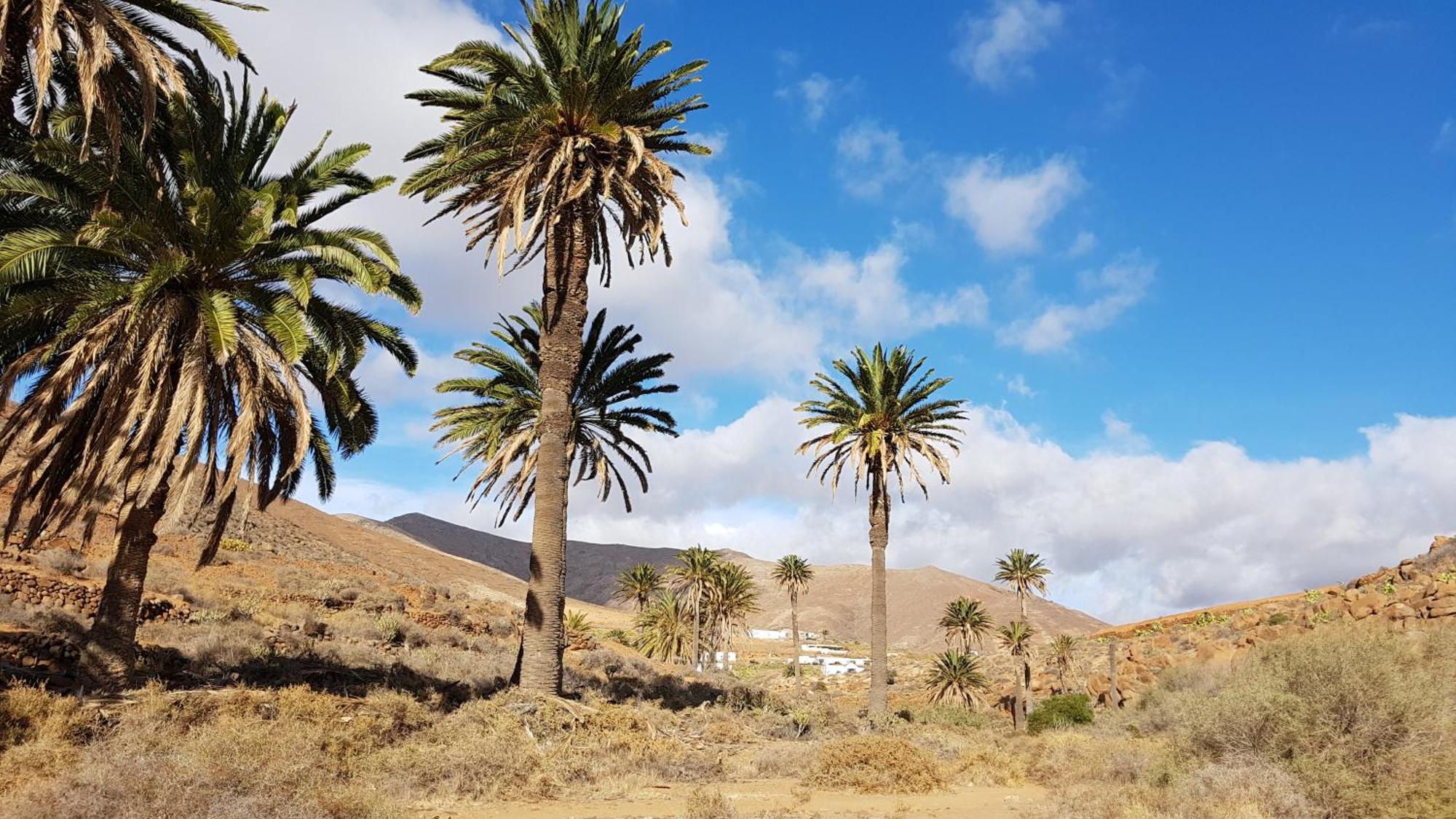 Casa Cocoon, Sun&Freedom, 8 Mn From Beaches, Internet Fiber Lajares Esterno foto